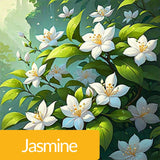 Maui Citrus Fresh Perfume 100ML