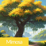 عطر فواكه أريلي 100 مل