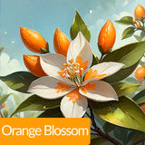 عطر فواكه أريلي 100 مل