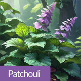 عطر فواكه أريلي 100 مل