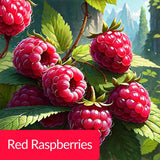 عطر فواكه أريلي 100 مل