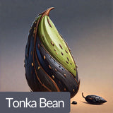 عطر فواكه أريلي 100 مل