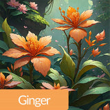 عطر أوشانا الفانيليا الزهرية 30 مل