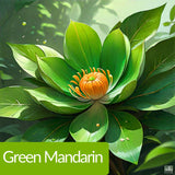 Oshana Vanilla Floral Perfume 100ml