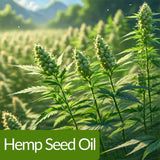 زبدة الجسم الم firming أوشانا 200 مل