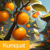 Mehriz Woody Floral Perfume 30ml