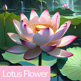 Mehriz Woody Floral Perfume 30ml