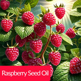 زبدة الجسم المرطبة أريلي 200 مل