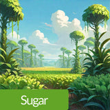 Mehriz Regenerating Exfoliating Body Balm 200ml